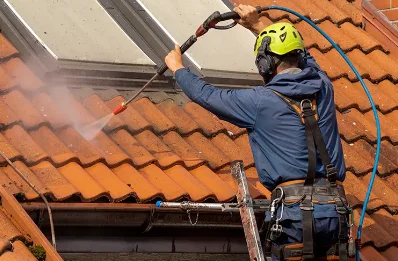 Démoussage et hydrofuge de toiture à Mesnac